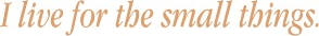Small Things