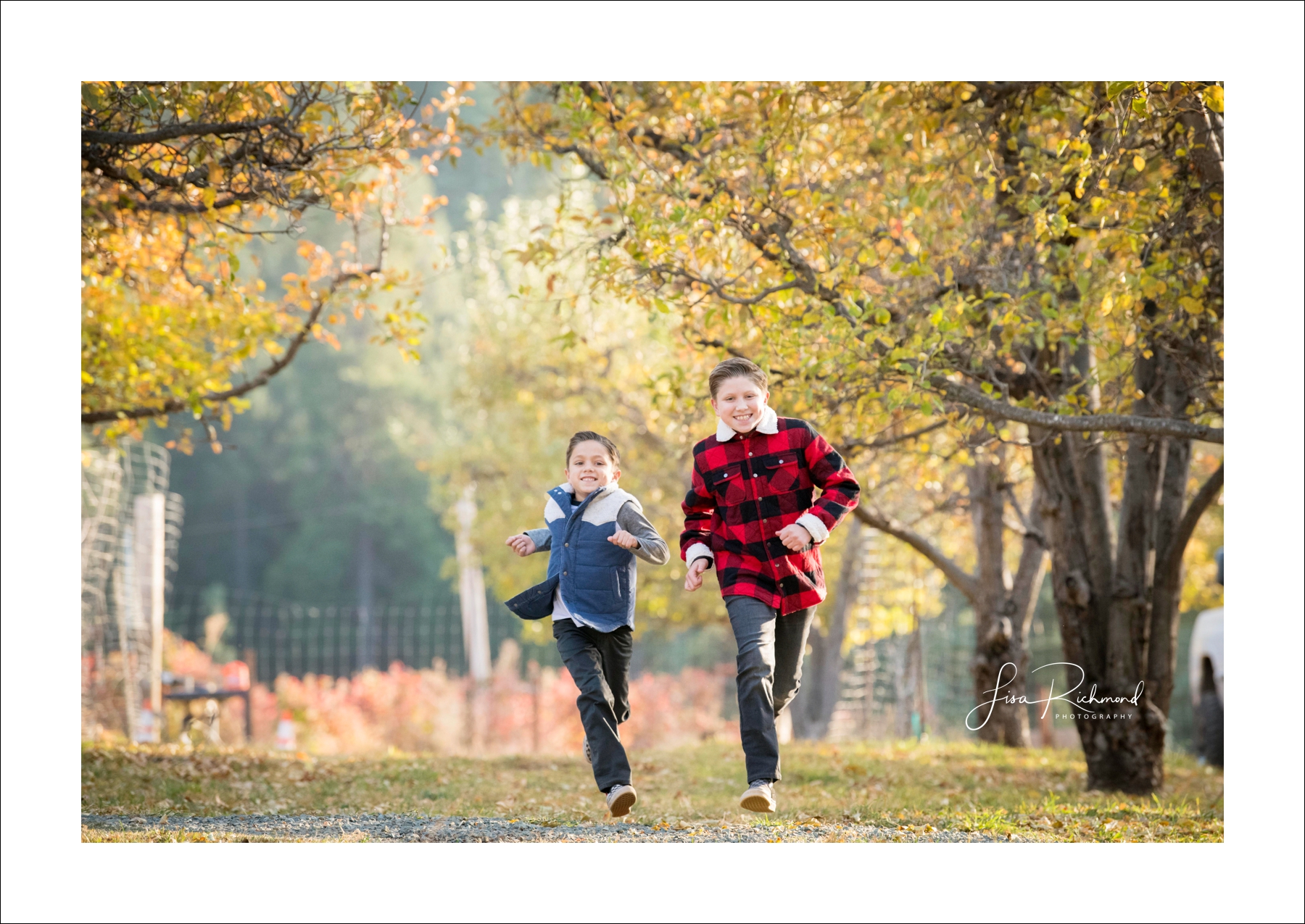 The Gustafson Family Photography at Harris Tree Farm 2018