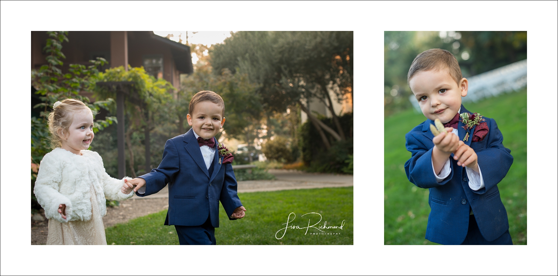 Aaron + Stephanie, Wine and Roses