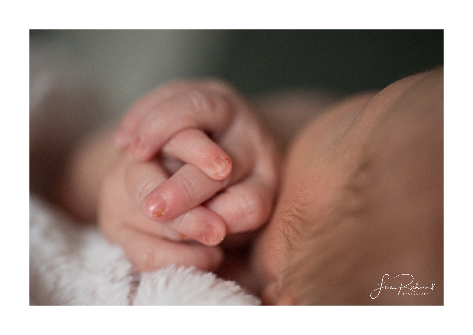 Miss Elliott- Newborn lifestyle session