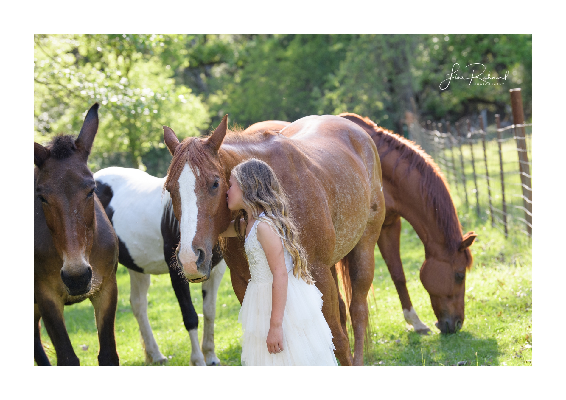 Fausel Ranch, est. 1877