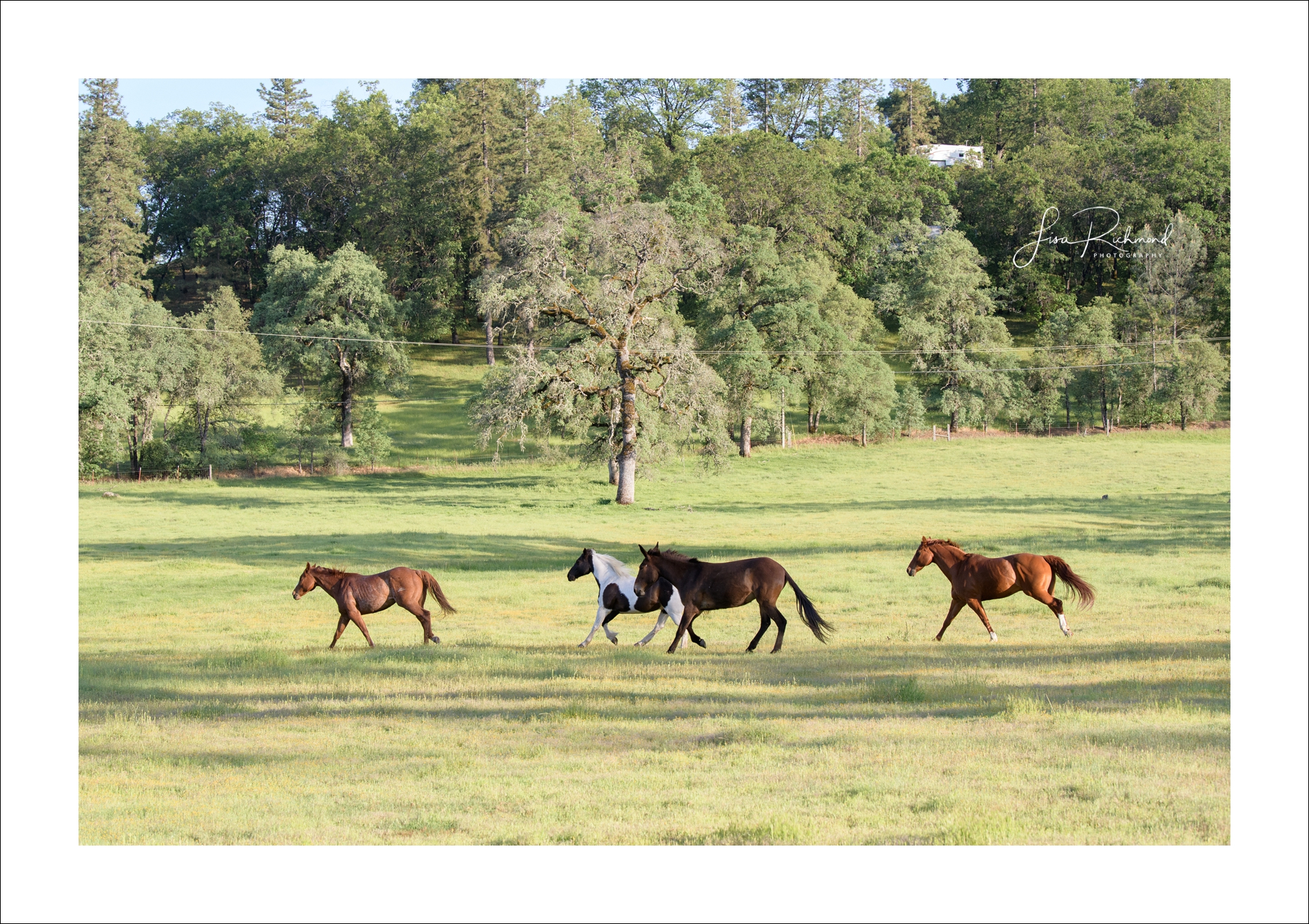 Fausel Ranch, est. 1877