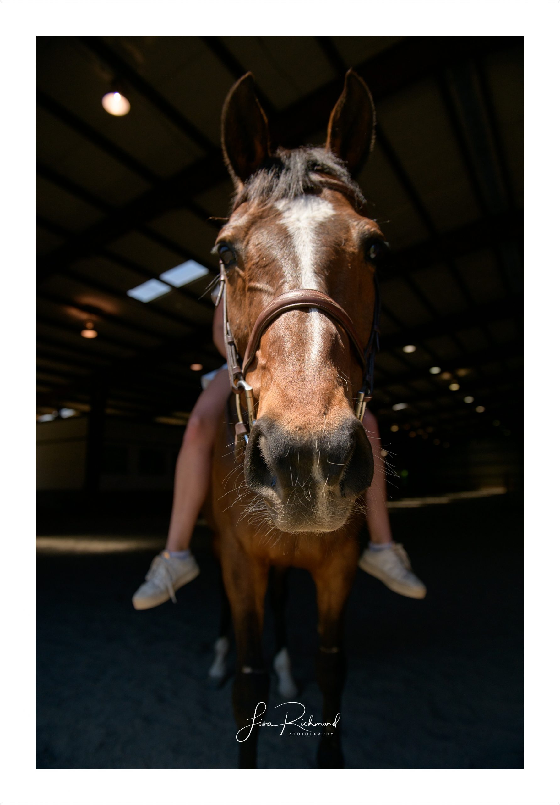 Jolie and Beau at Chatham Hall