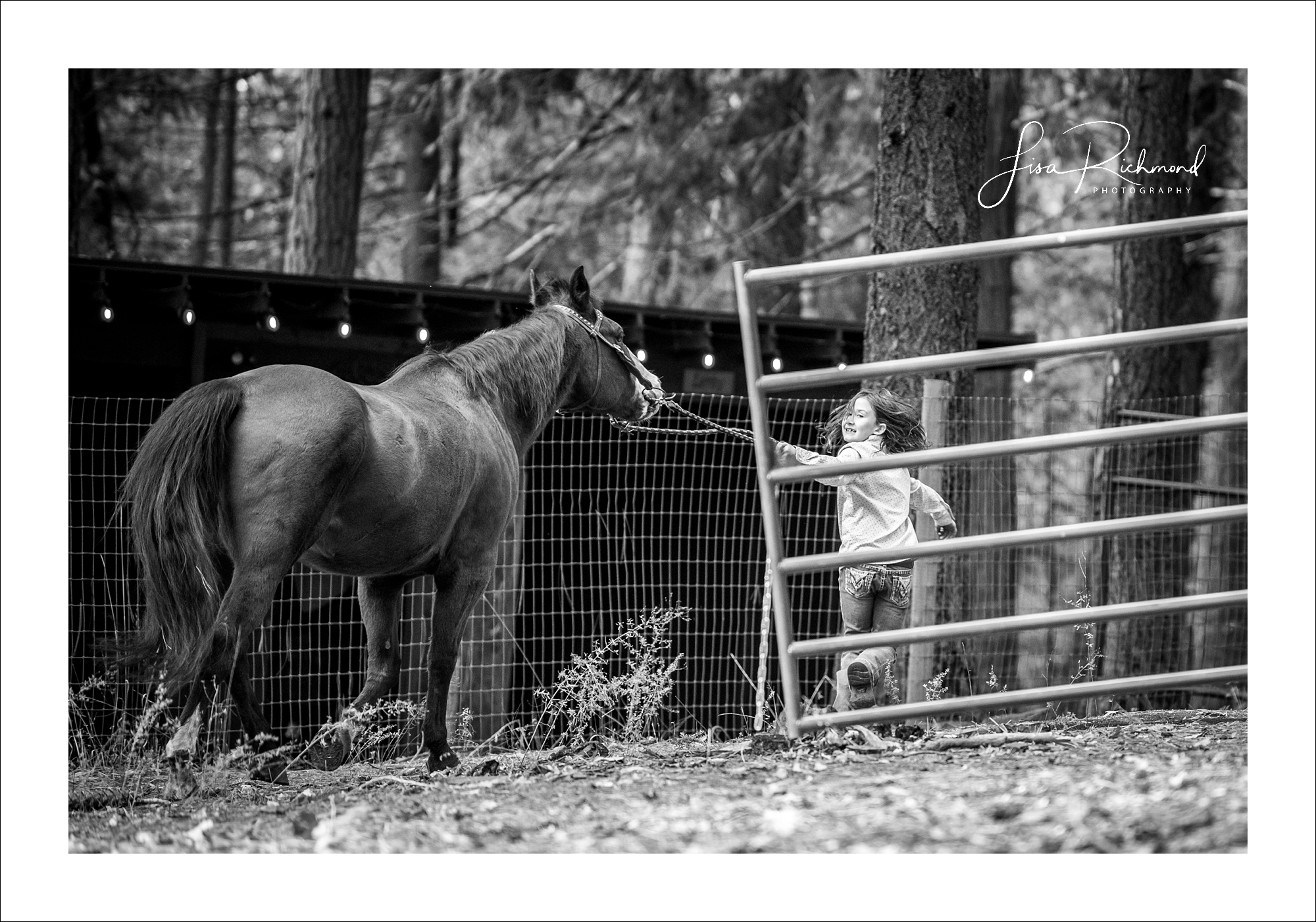 Madison, Hailey, 2 horses and a monkey