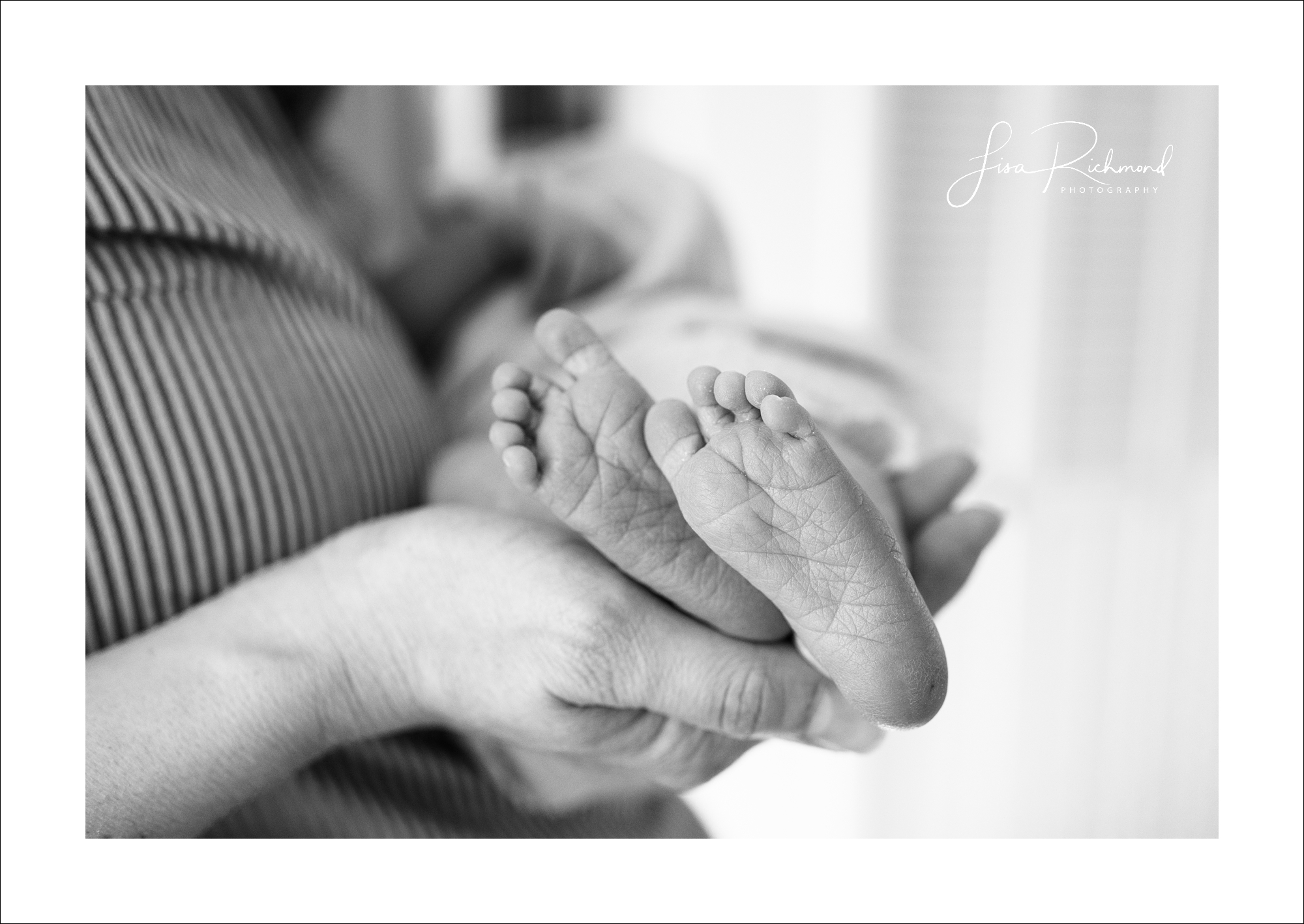 Baby Ava, Newborn session