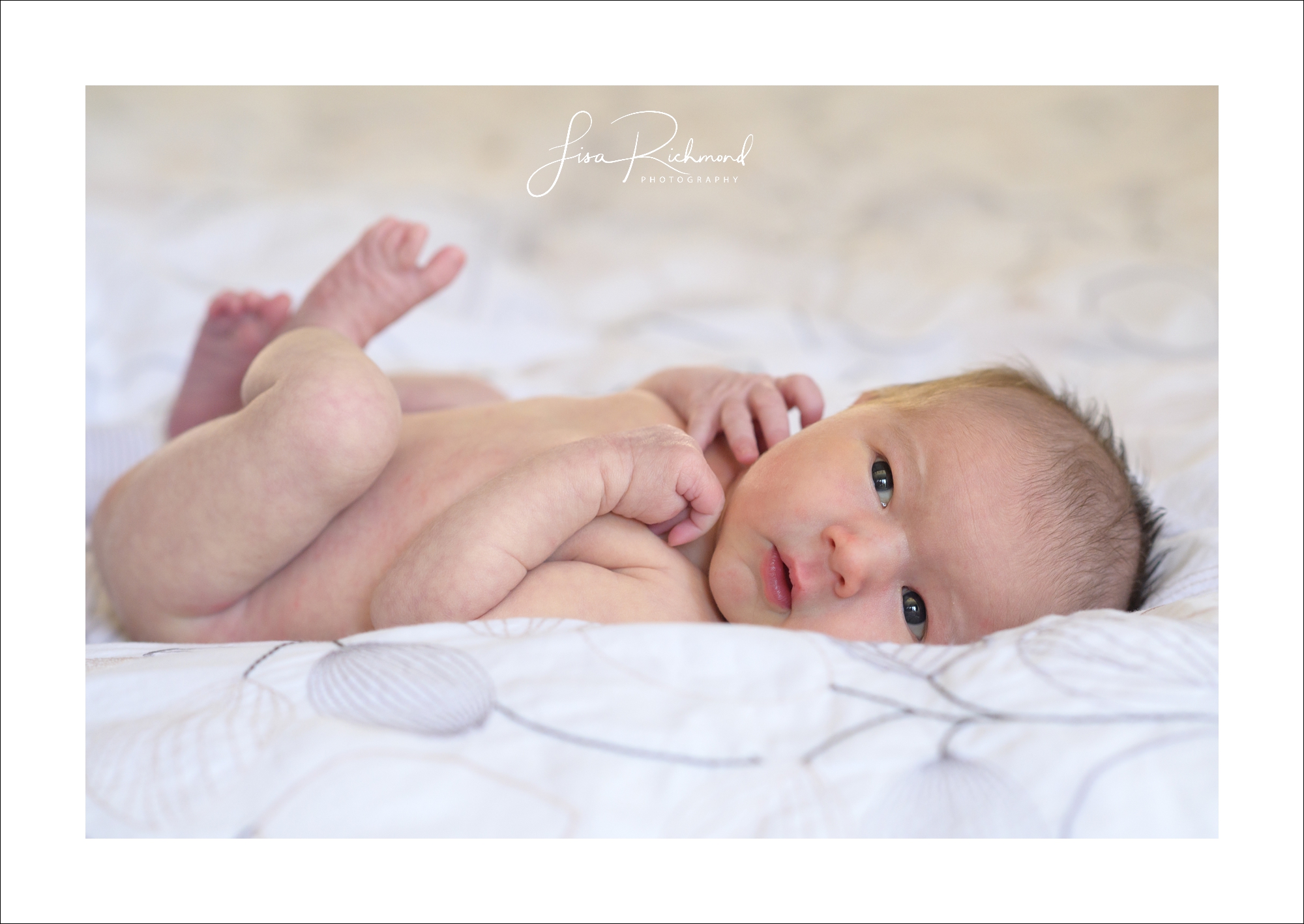 Baby Ava, Newborn session