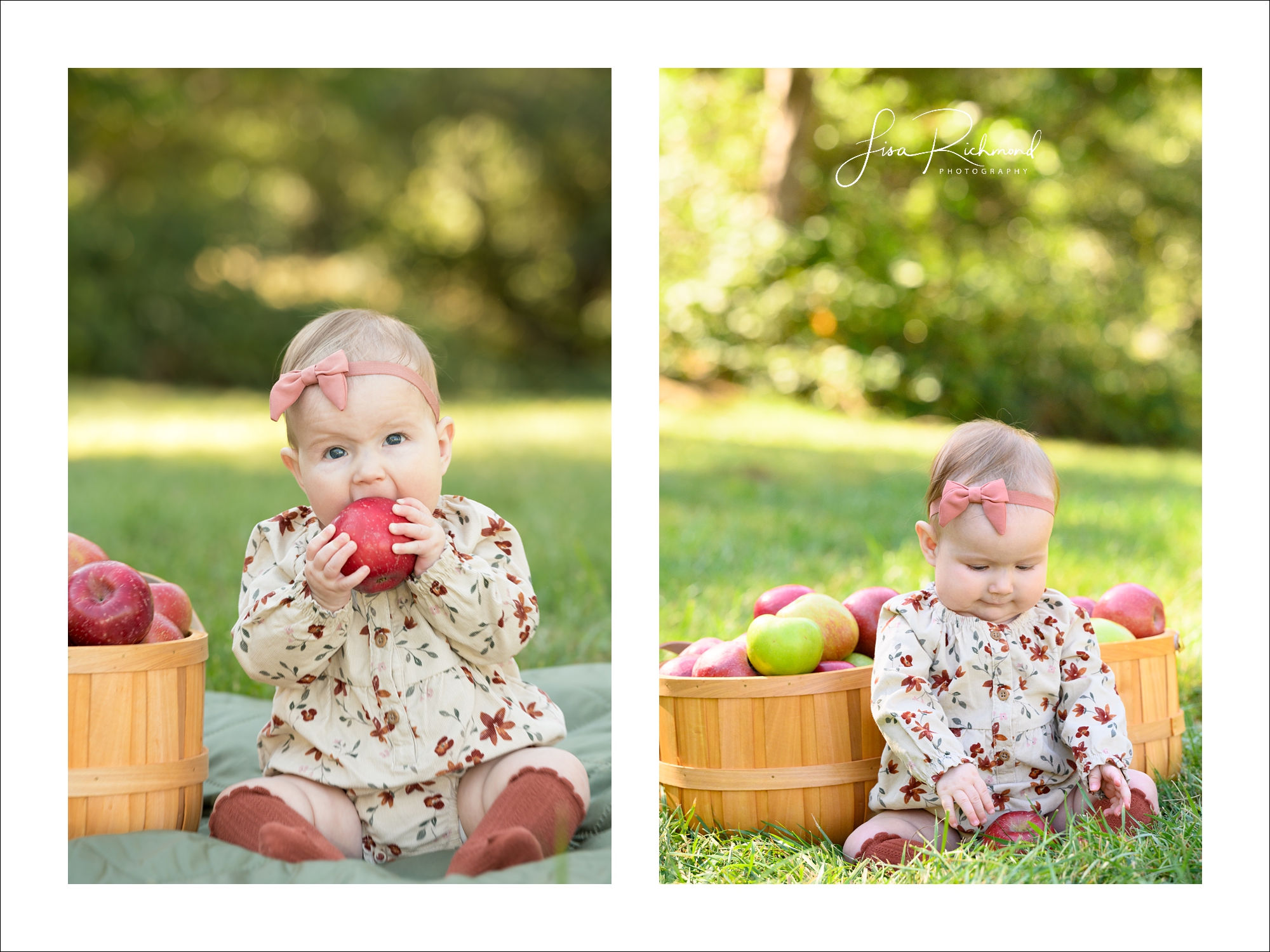 Ava is 6 months old! Let&#8217;s head to Apple Hill!