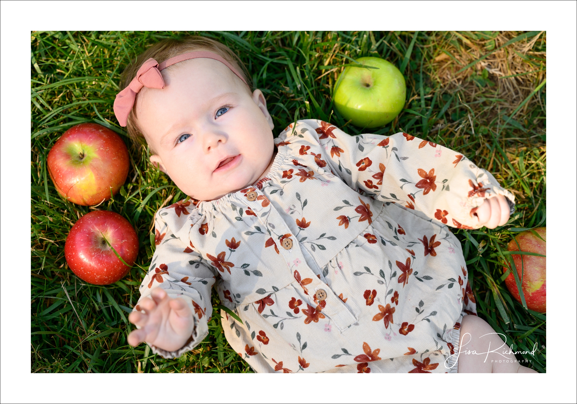 Ava is 6 months old! Let&#8217;s head to Apple Hill!