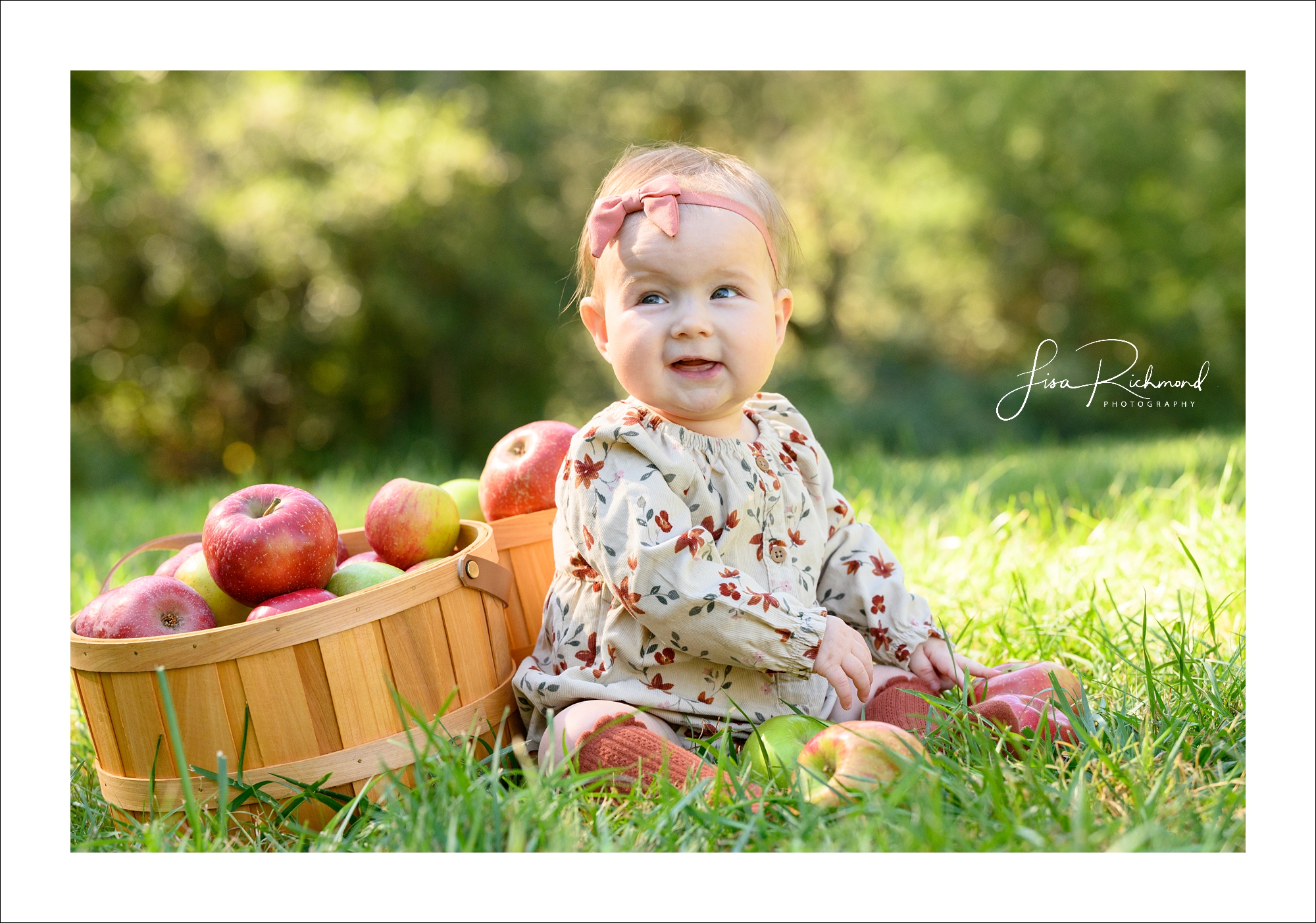 Ava is 6 months old! Let&#8217;s head to Apple Hill!