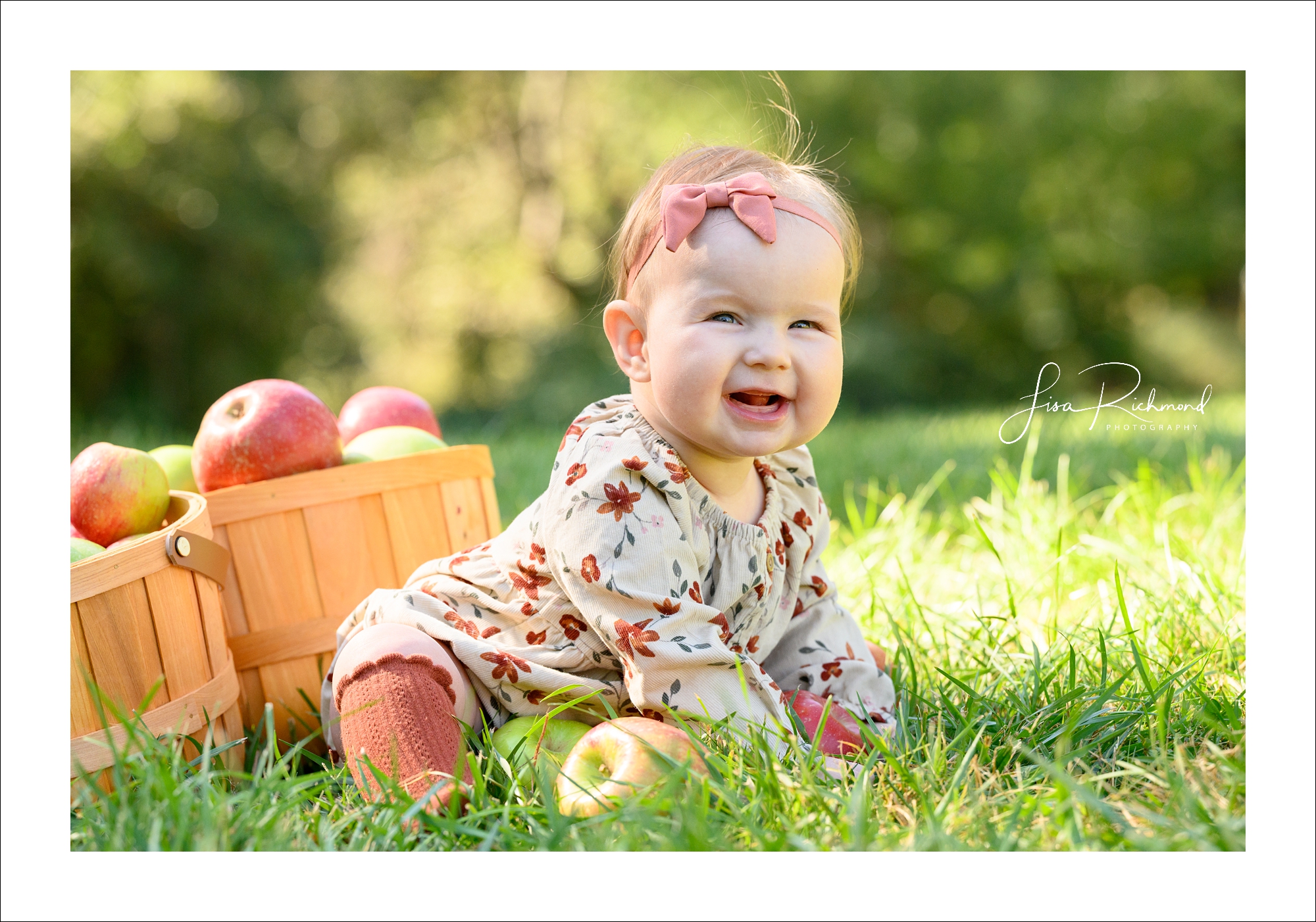 Ava is 6 months old! Let&#8217;s head to Apple Hill!