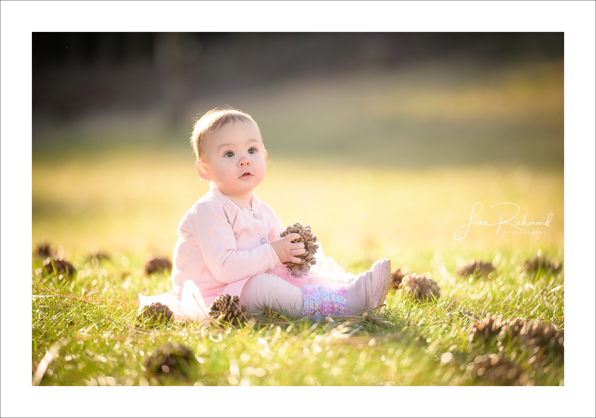 Elora Soleil is One- a family session with the Colbys