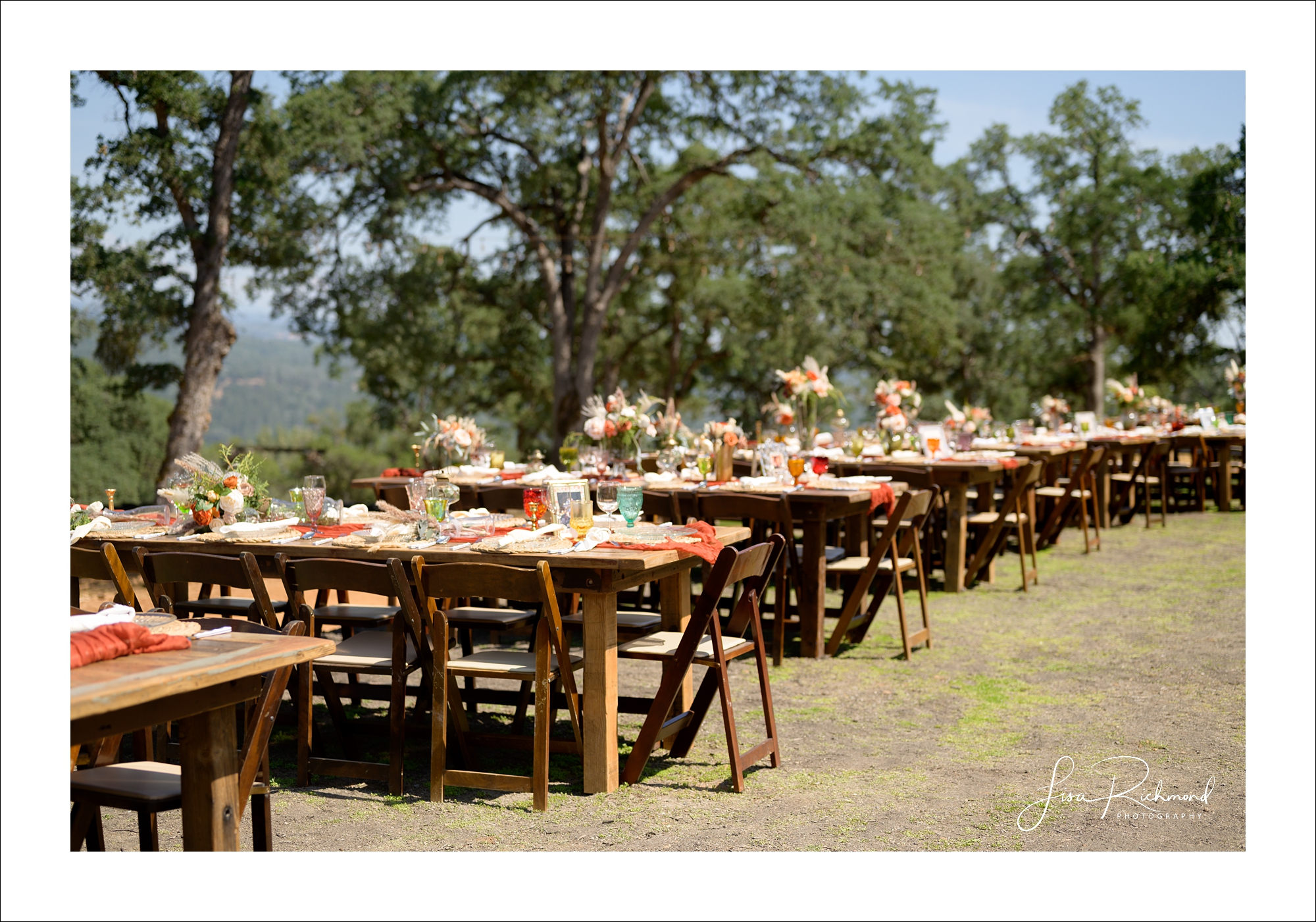 Donna and Robert <br> Married in the backyard