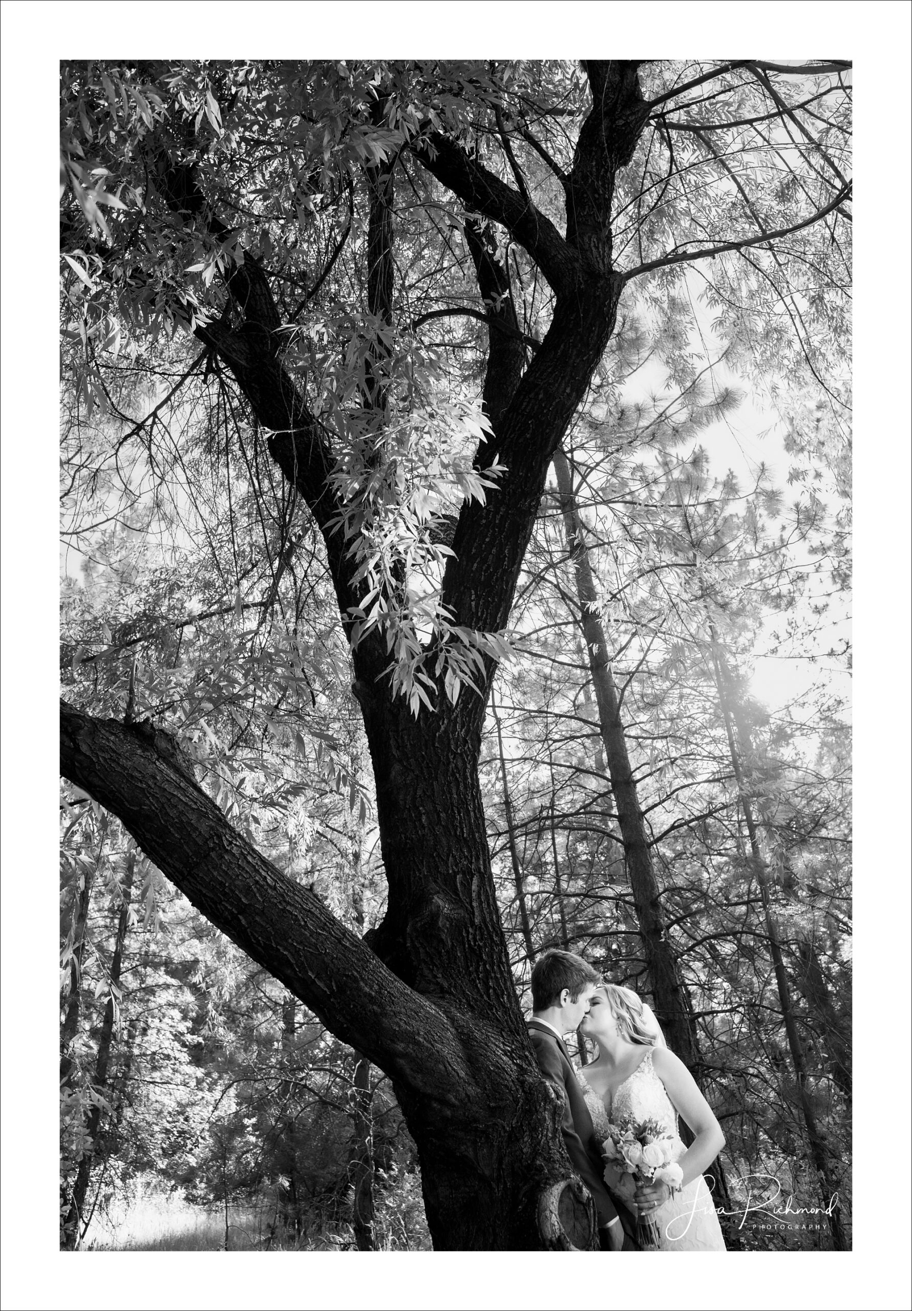 Lindsey and Adam <br> Silverthorn Meadows, Camino