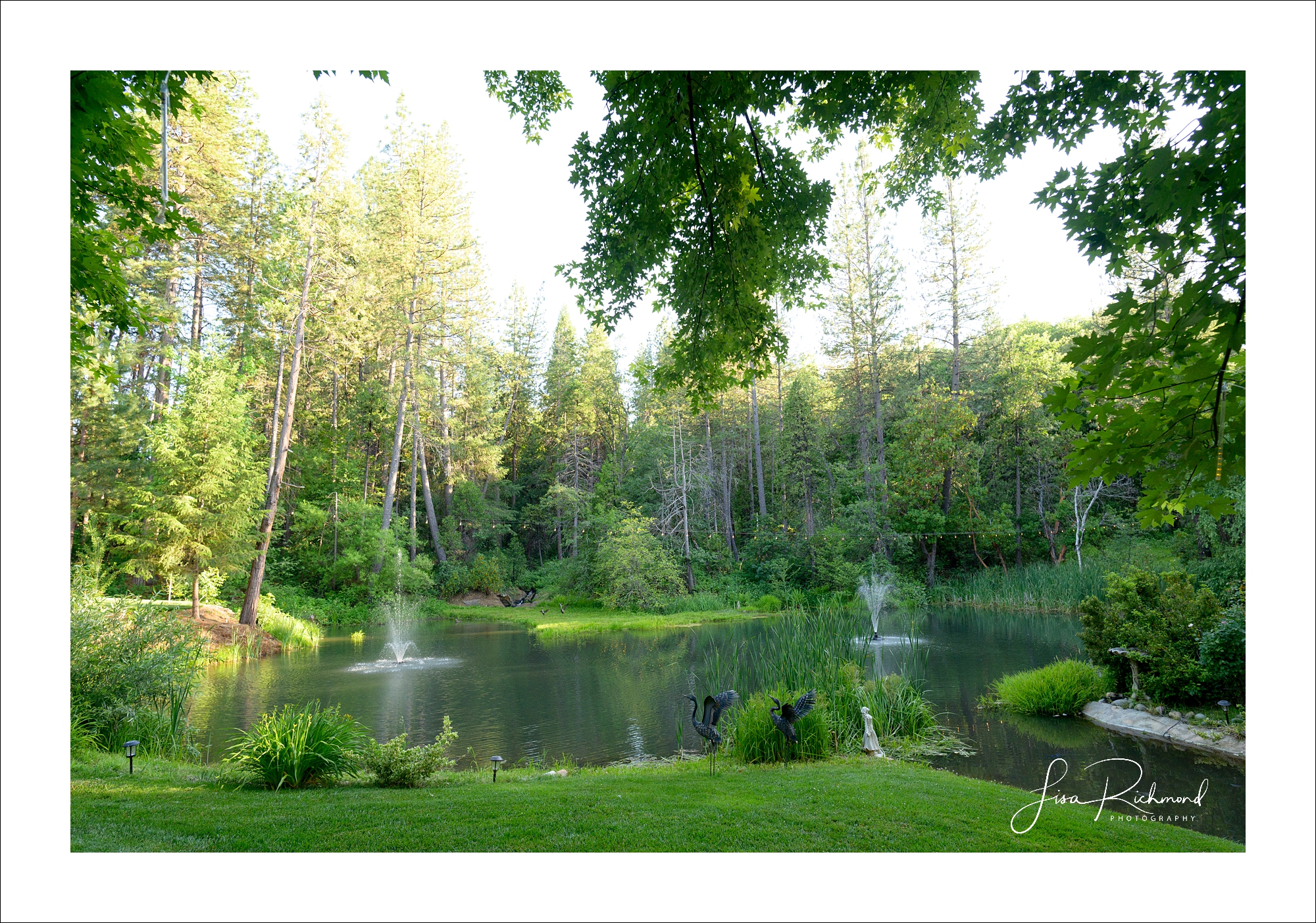 Lindsey and Adam <br> Silverthorn Meadows, Camino