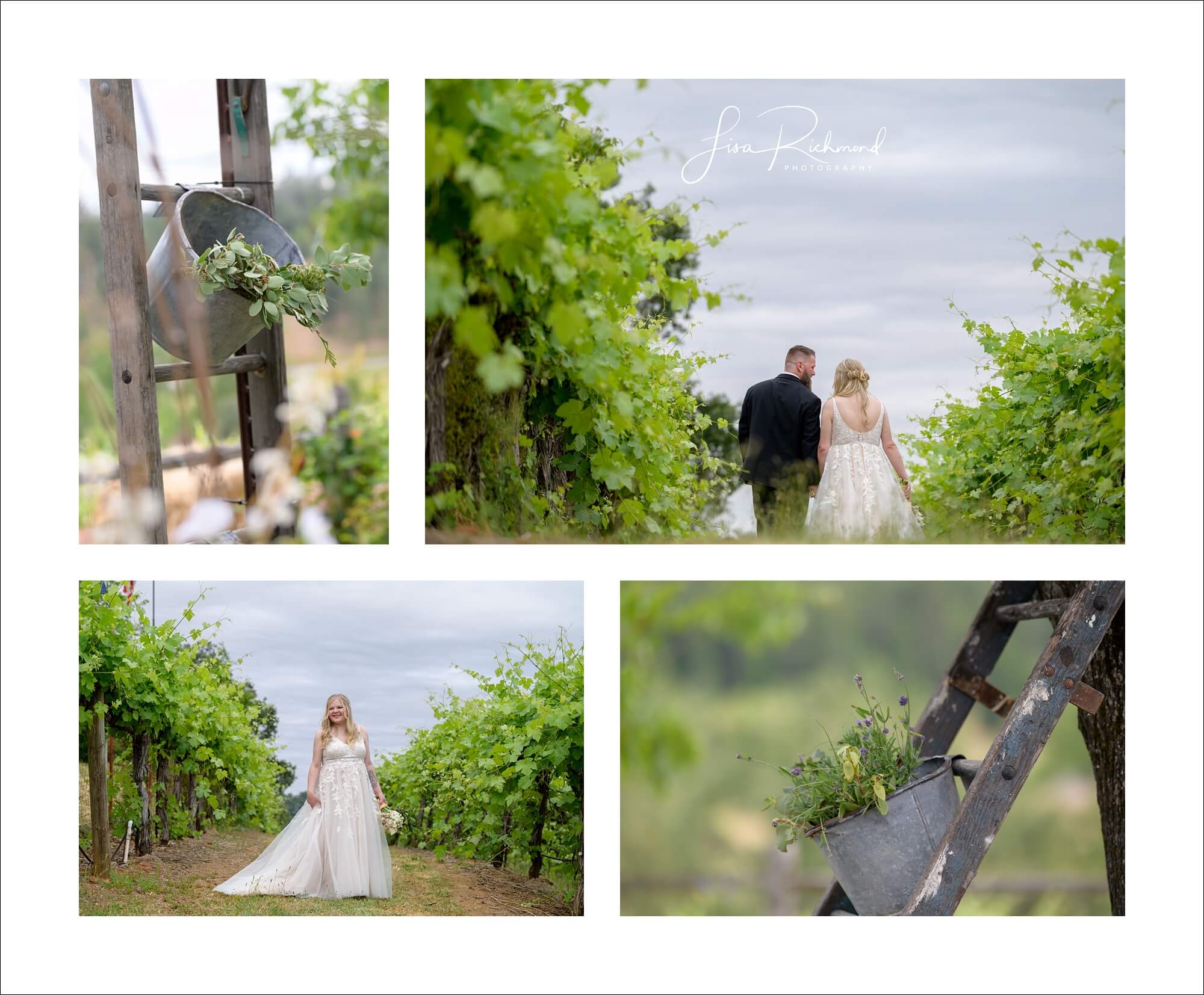 Elena and Josh &#8211; Wind Rush Vineyard