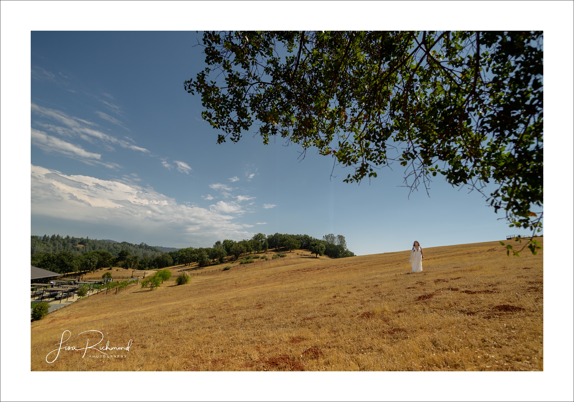 Jessica and Cory celebrate their wedding day at Black Oak Mountain Vineyards