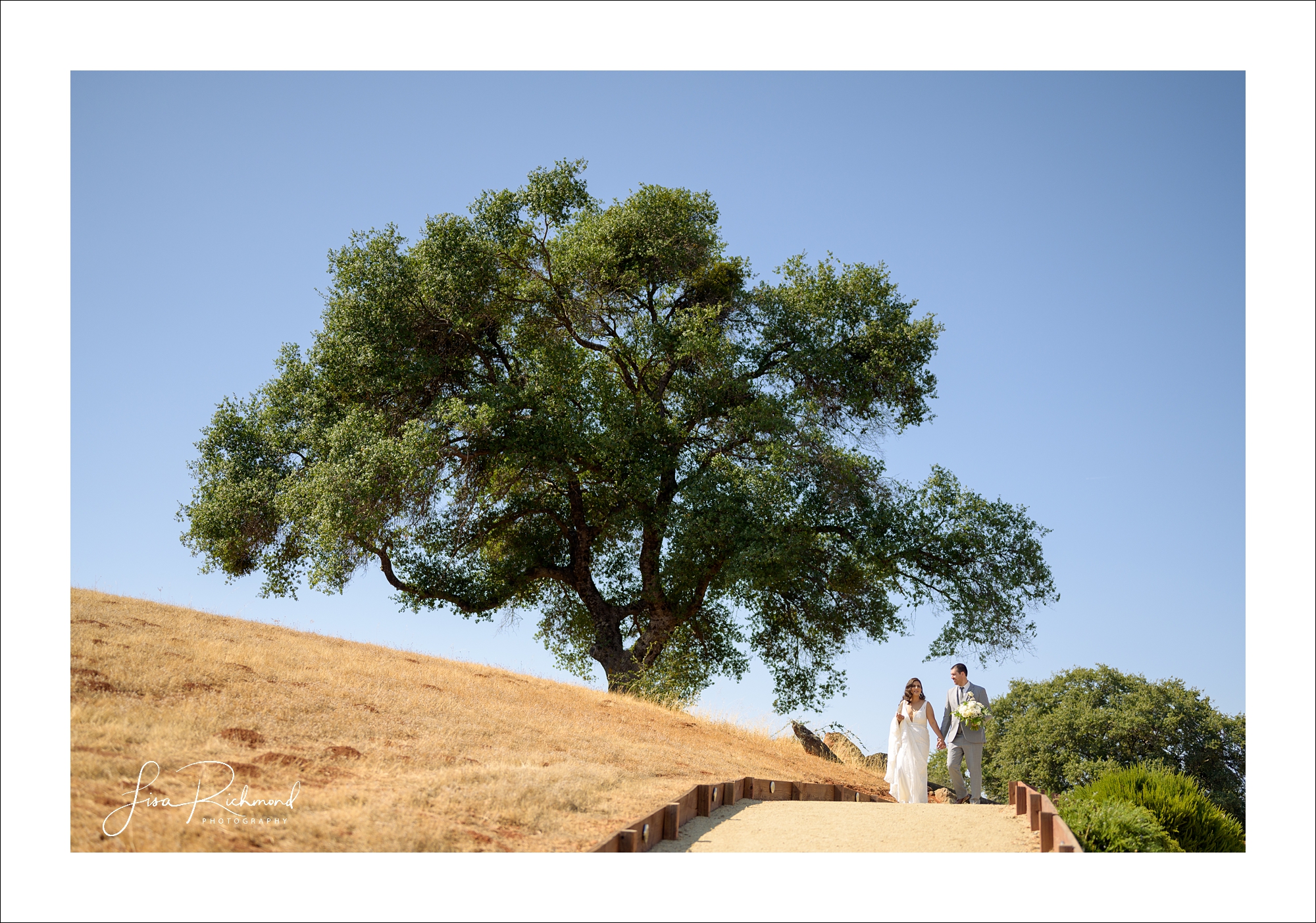 Jessica and Cory celebrate their wedding day at Black Oak Mountain Vineyards