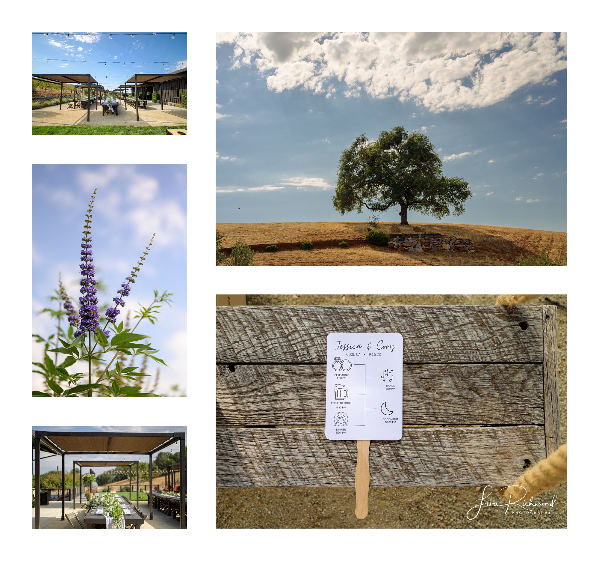 Jessica and Cory celebrate their wedding day at Black Oak Mountain Vineyards