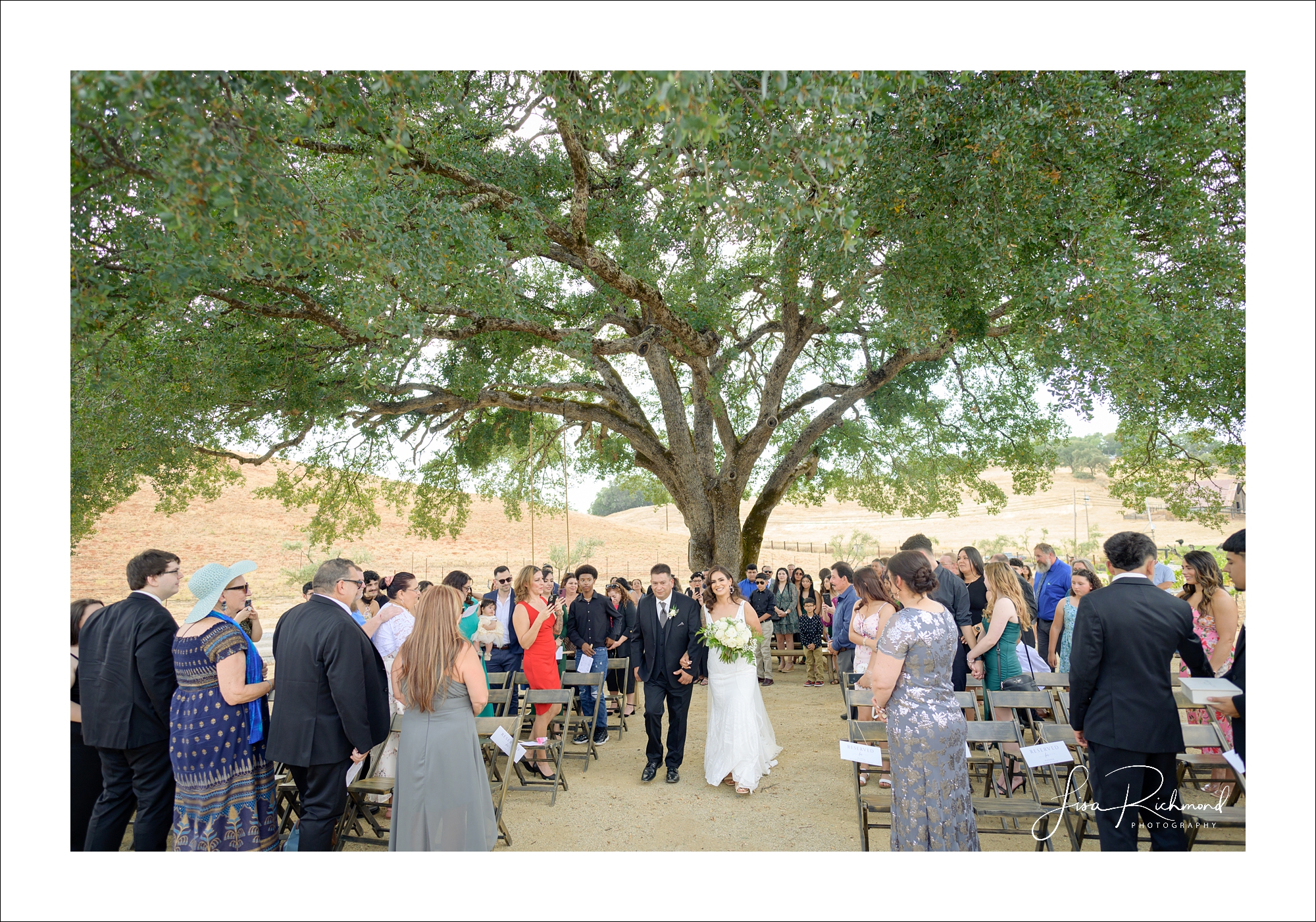 Jessica and Cory celebrate their wedding day at Black Oak Mountain Vineyards