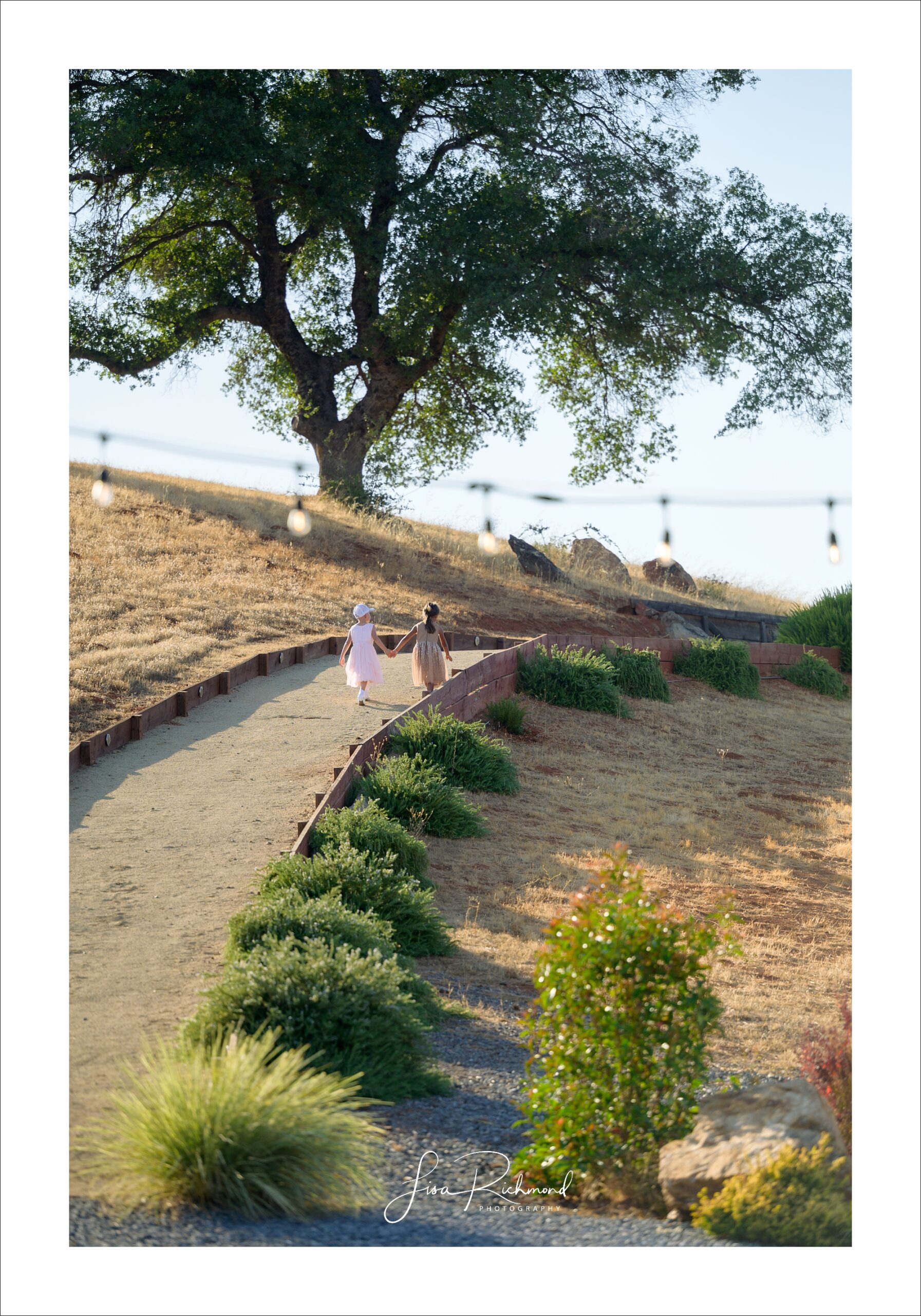 Jessica and Cory celebrate their wedding day at Black Oak Mountain Vineyards