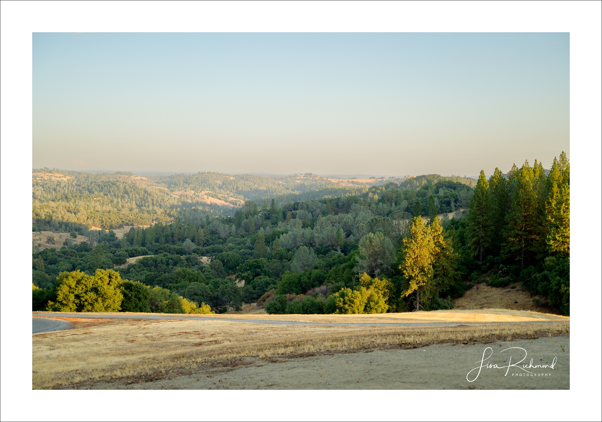 Jessica and Cory celebrate their wedding day at Black Oak Mountain Vineyards