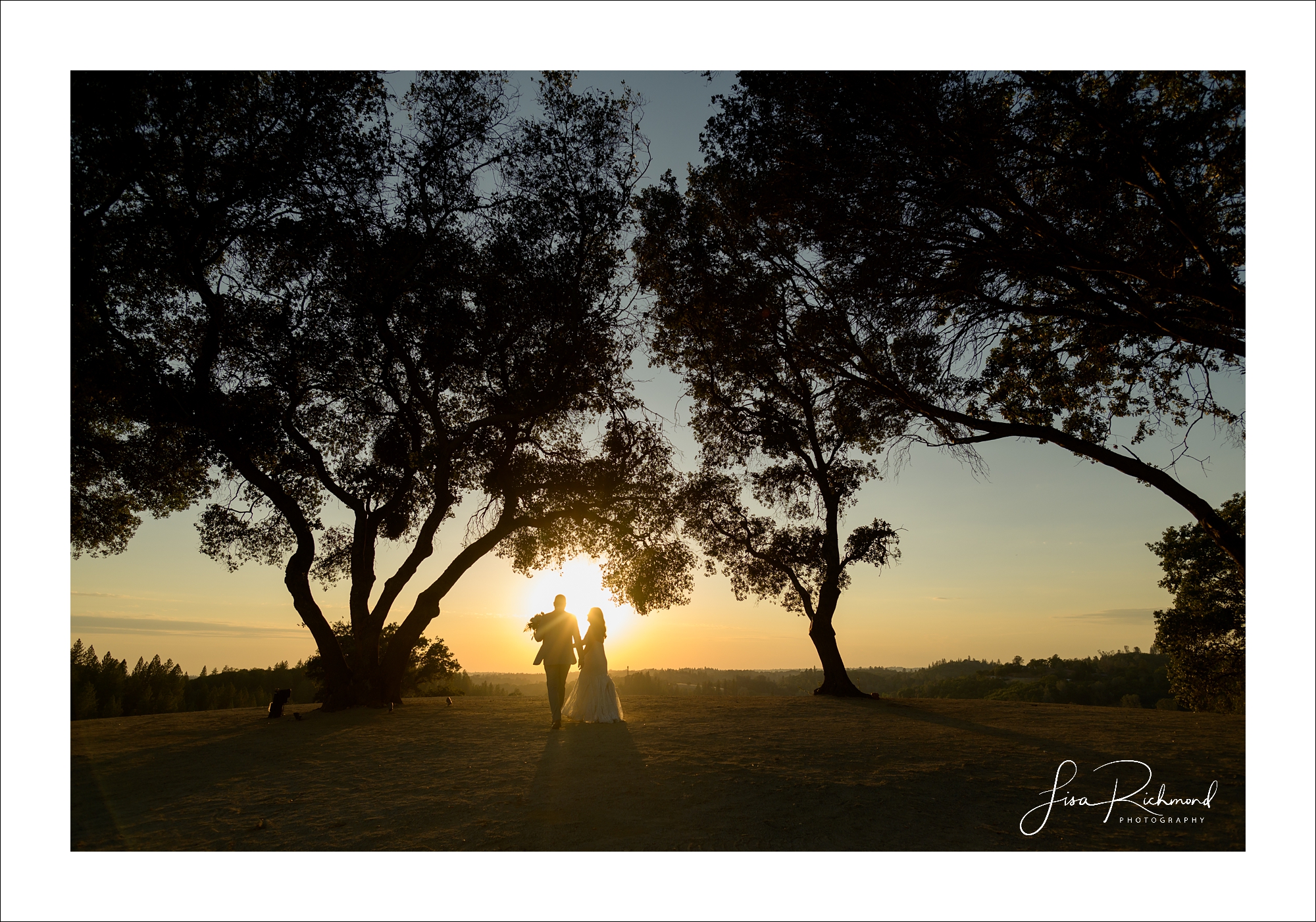 Jessica and Cory celebrate their wedding day at Black Oak Mountain Vineyards