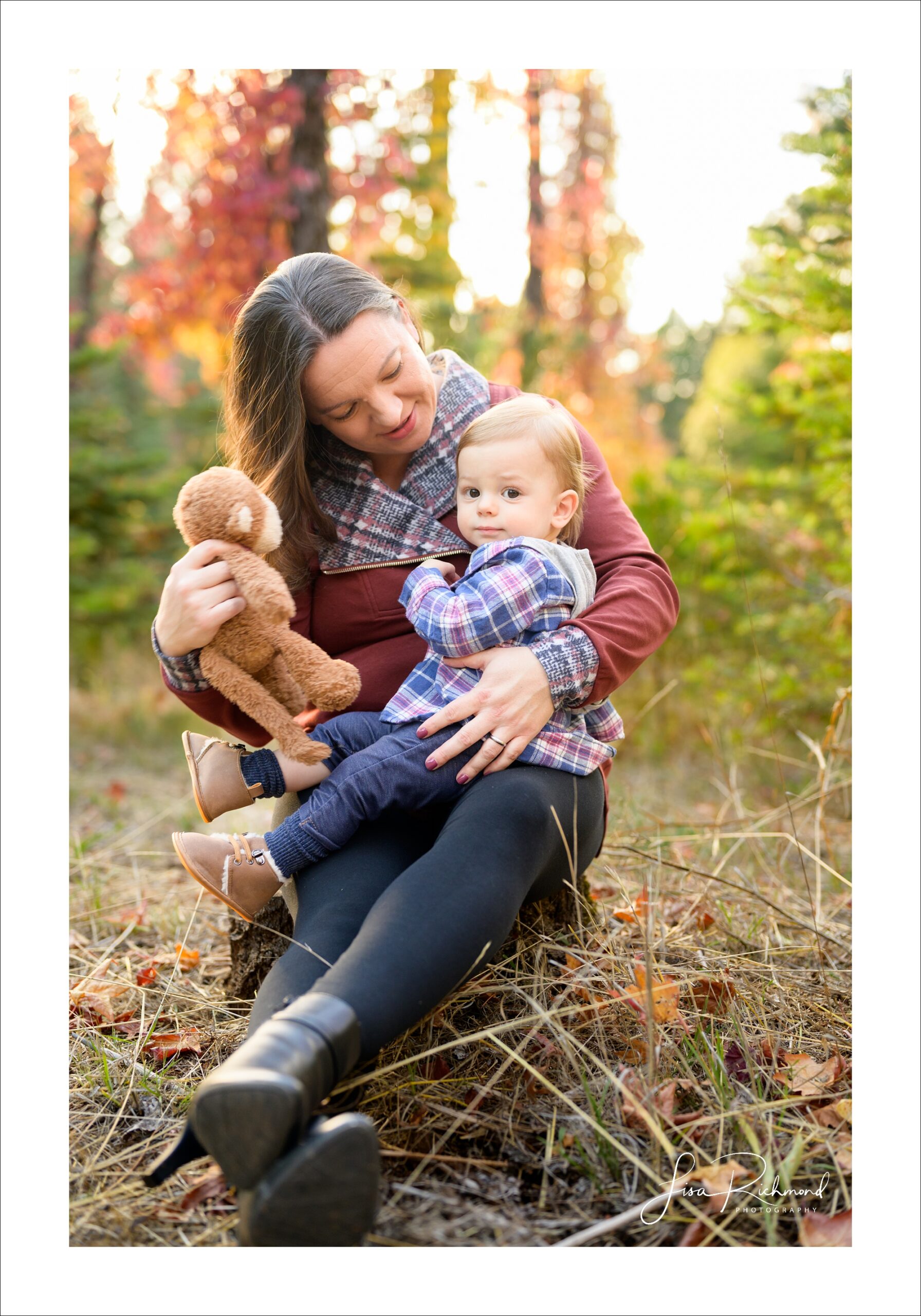 The Pollock&#8217;s family session in Apple Hill