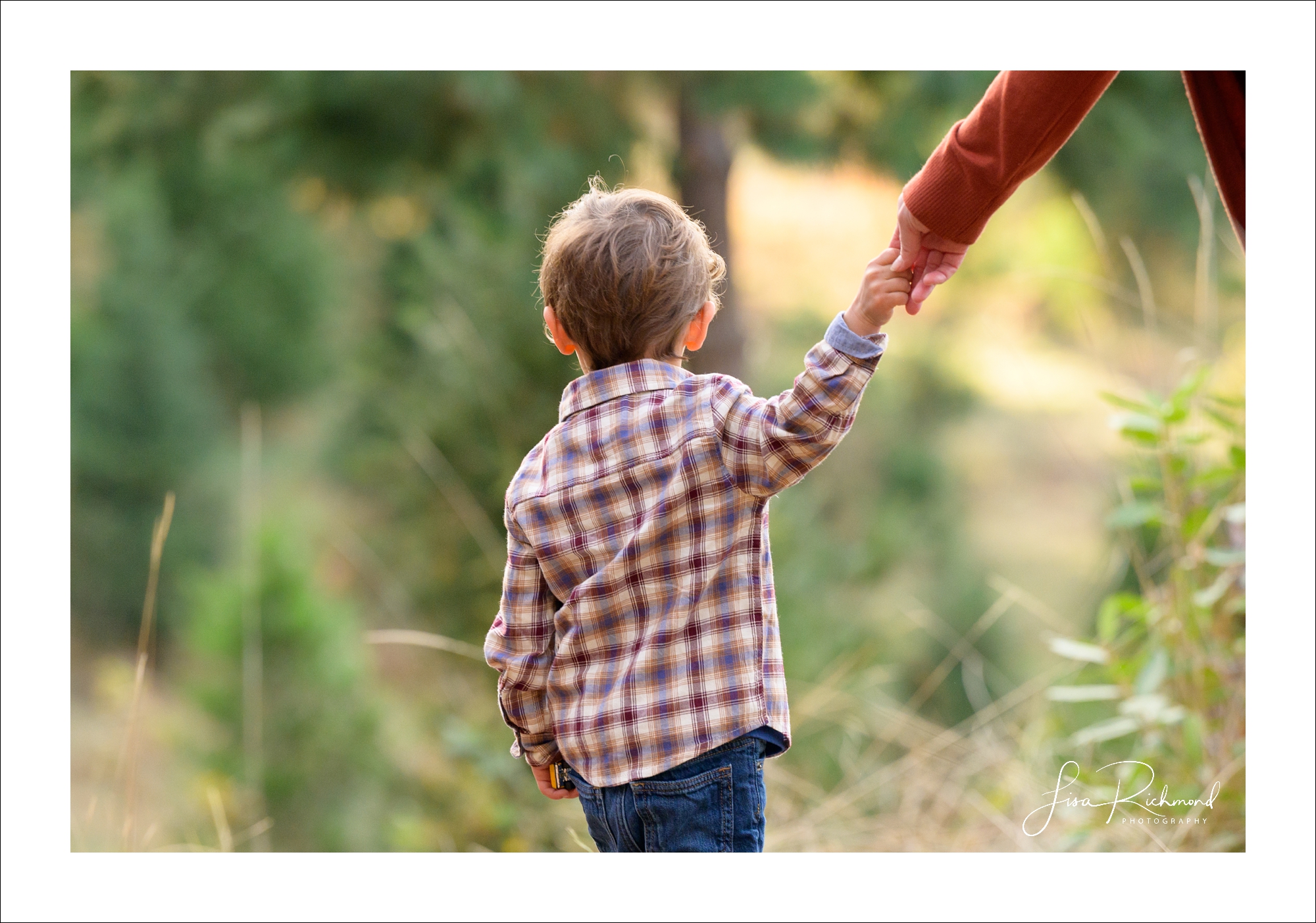 The Pollock&#8217;s family session in Apple Hill