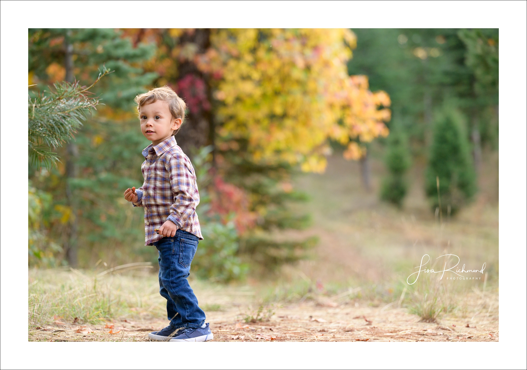 The Pollock&#8217;s family session in Apple Hill