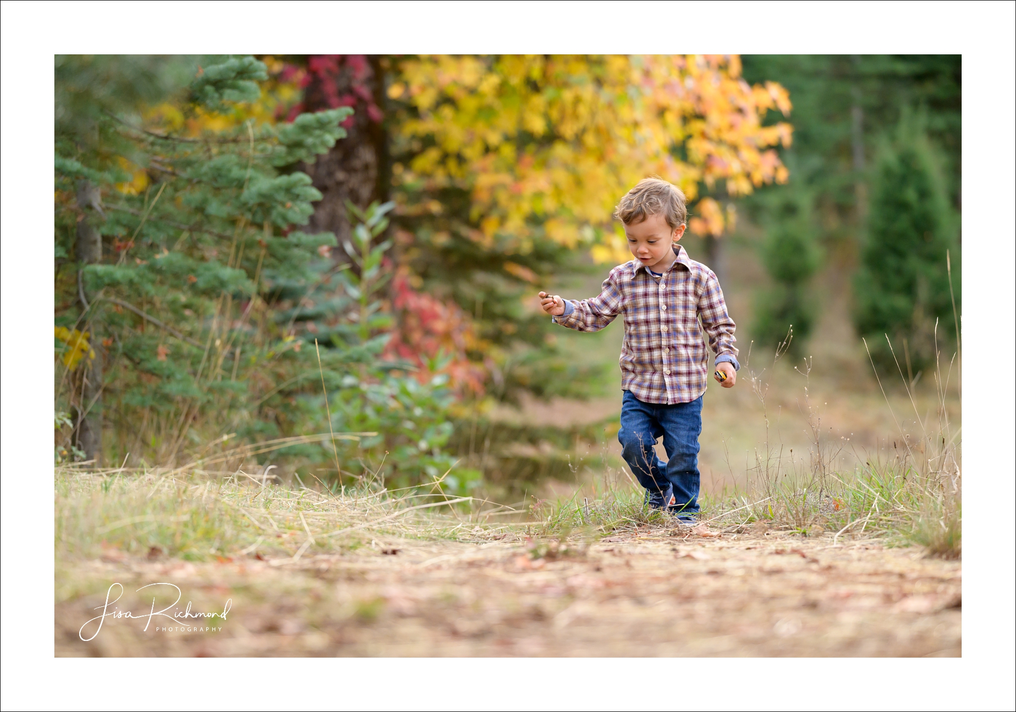 The Pollock&#8217;s family session in Apple Hill