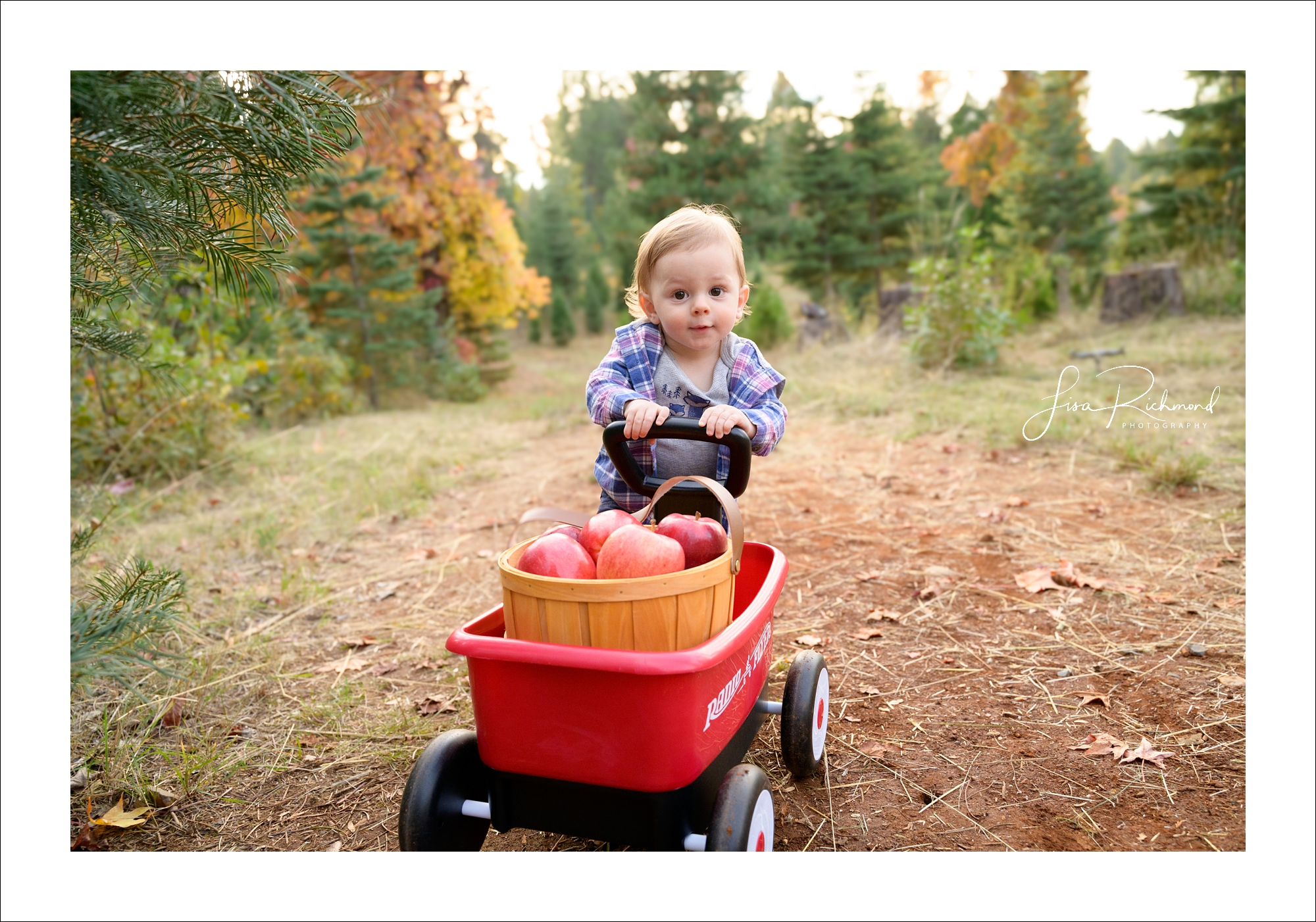 The Pollock&#8217;s family session in Apple Hill