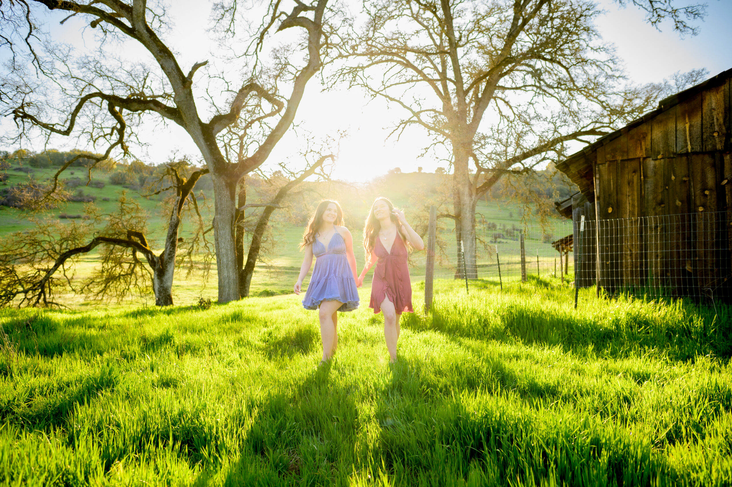 March 2024: My Top Five favorite spots for photo sessions in El Dorado County