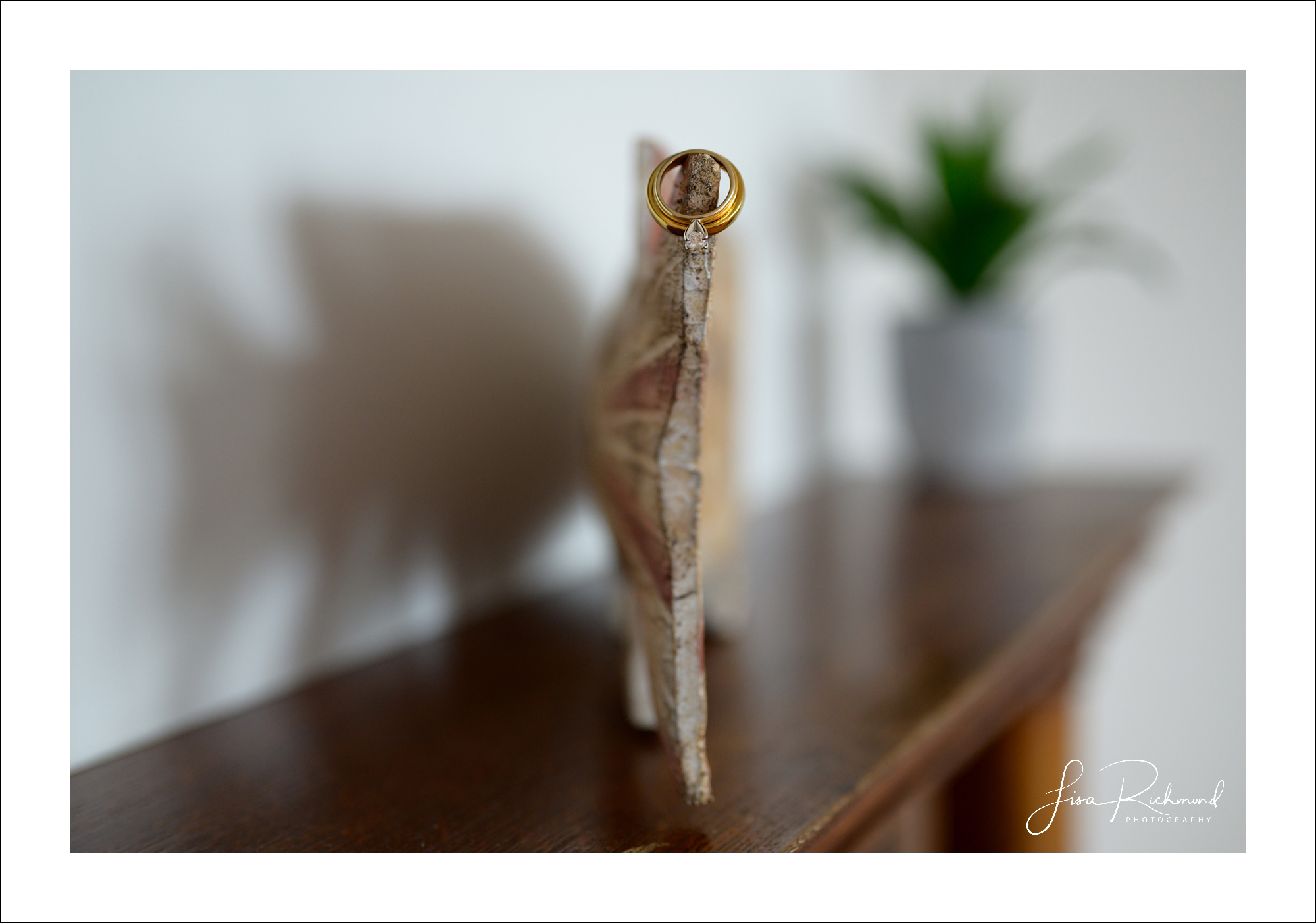 Azure and Andrew- Narragansett Wedding