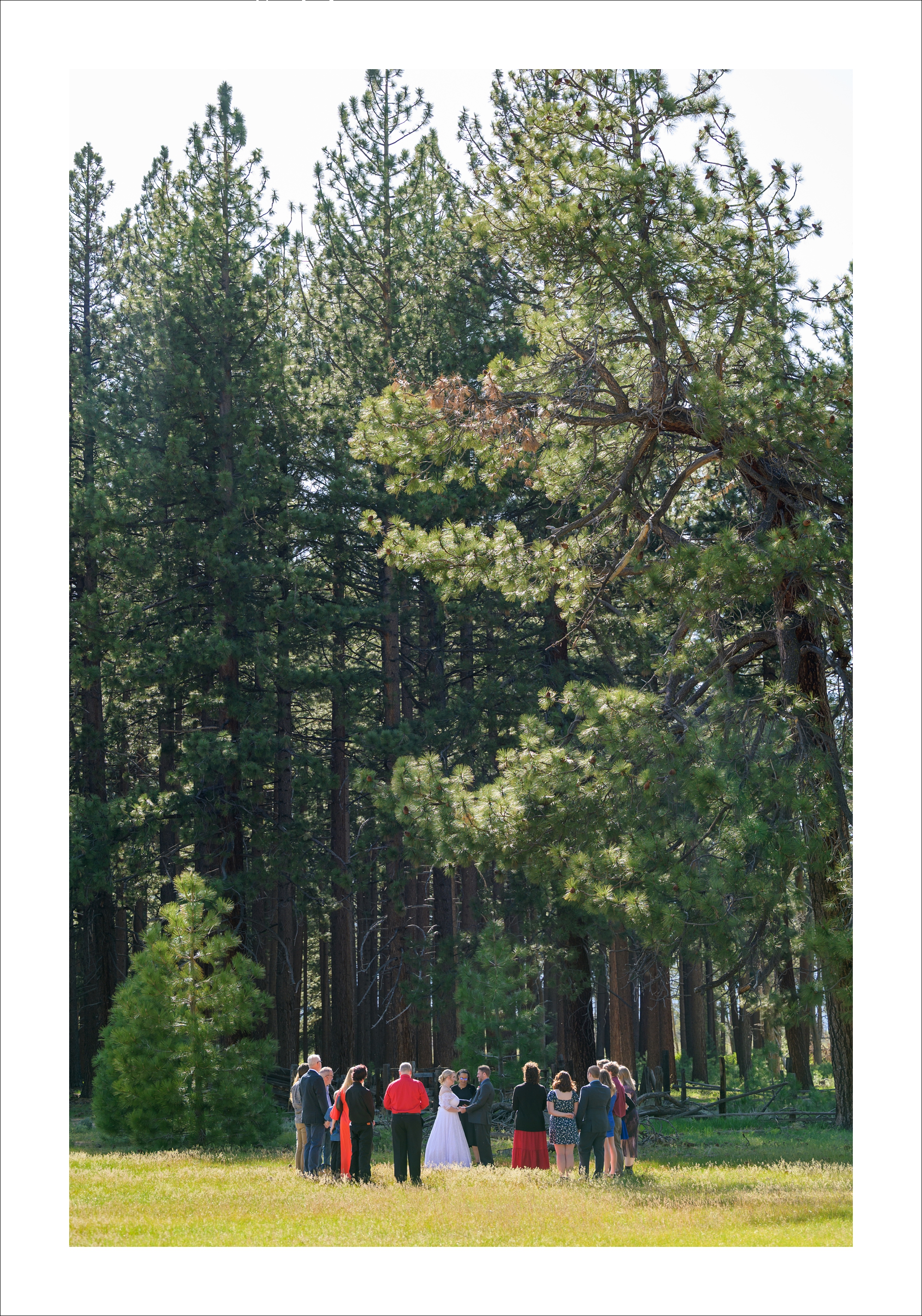 Sara and Jaeson &#8211; Married in South Lake Tahoe