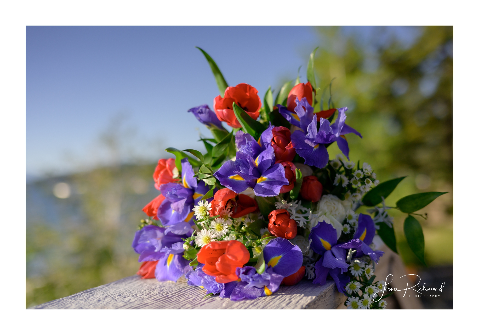 Sara and Jaeson &#8211; Married in South Lake Tahoe