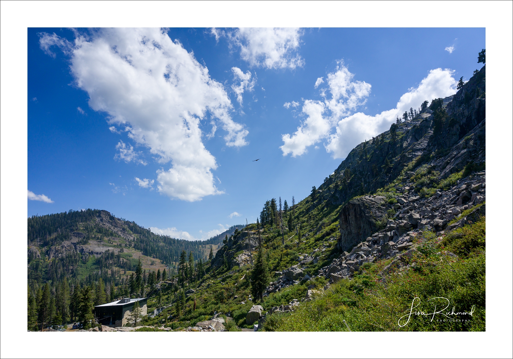 Shawn and Evan ~ White Wolf, North Lake Tahoe
