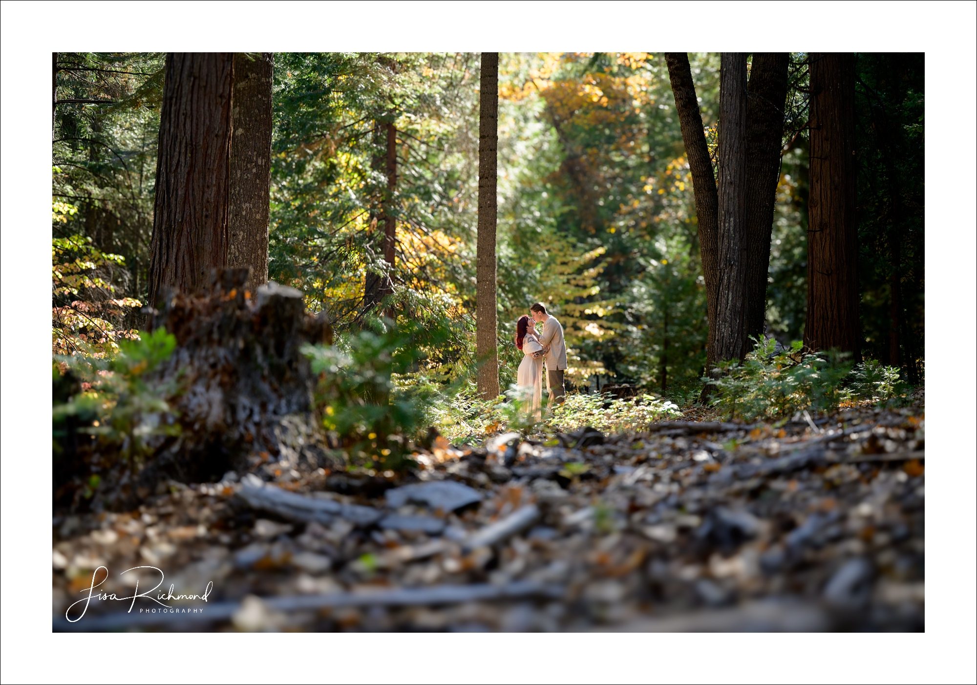 Phoebe and Jake – Fantasy Forest Engagement