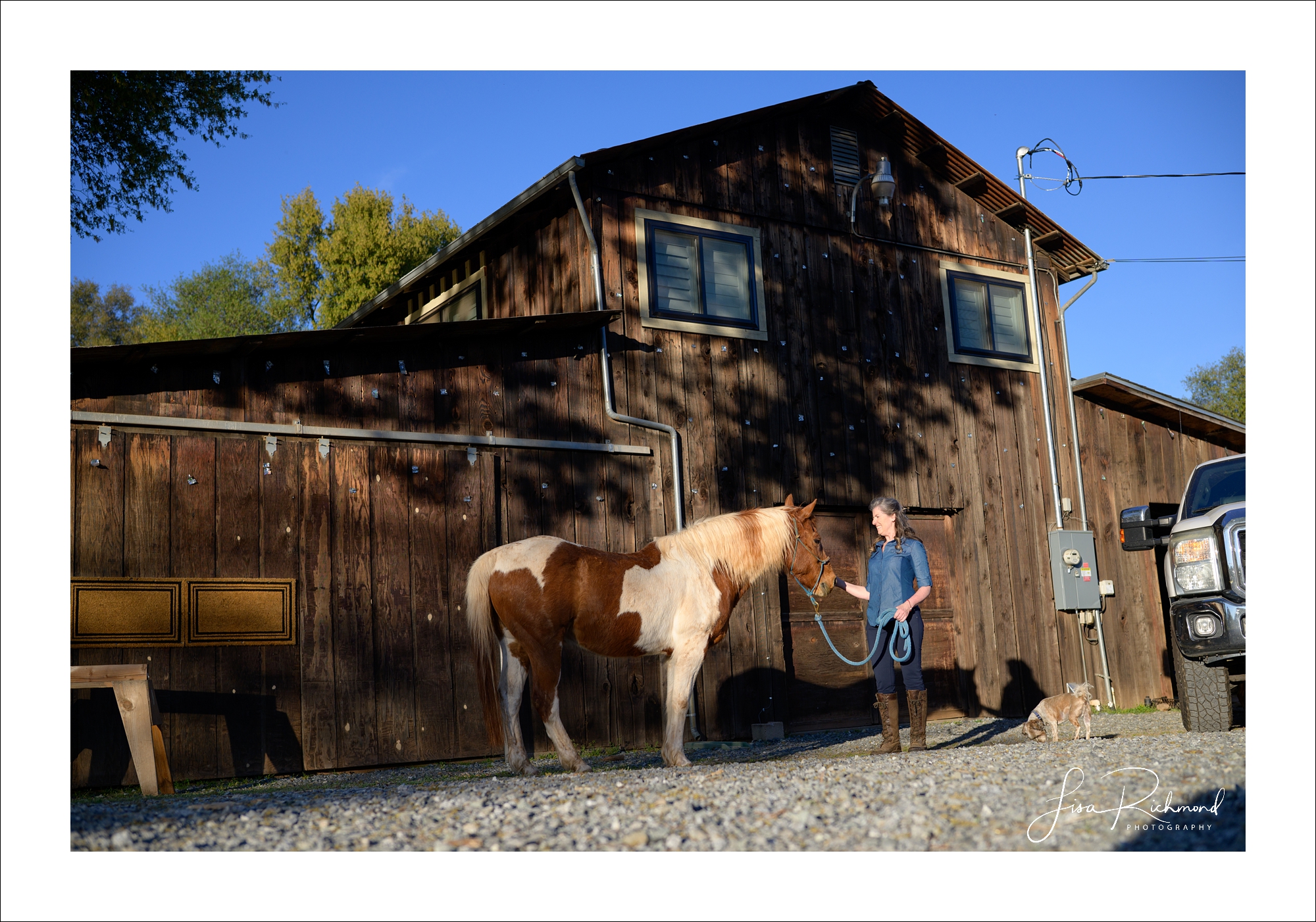 Emily Bouchard – books, Tedx Talks, and horses – oh my!