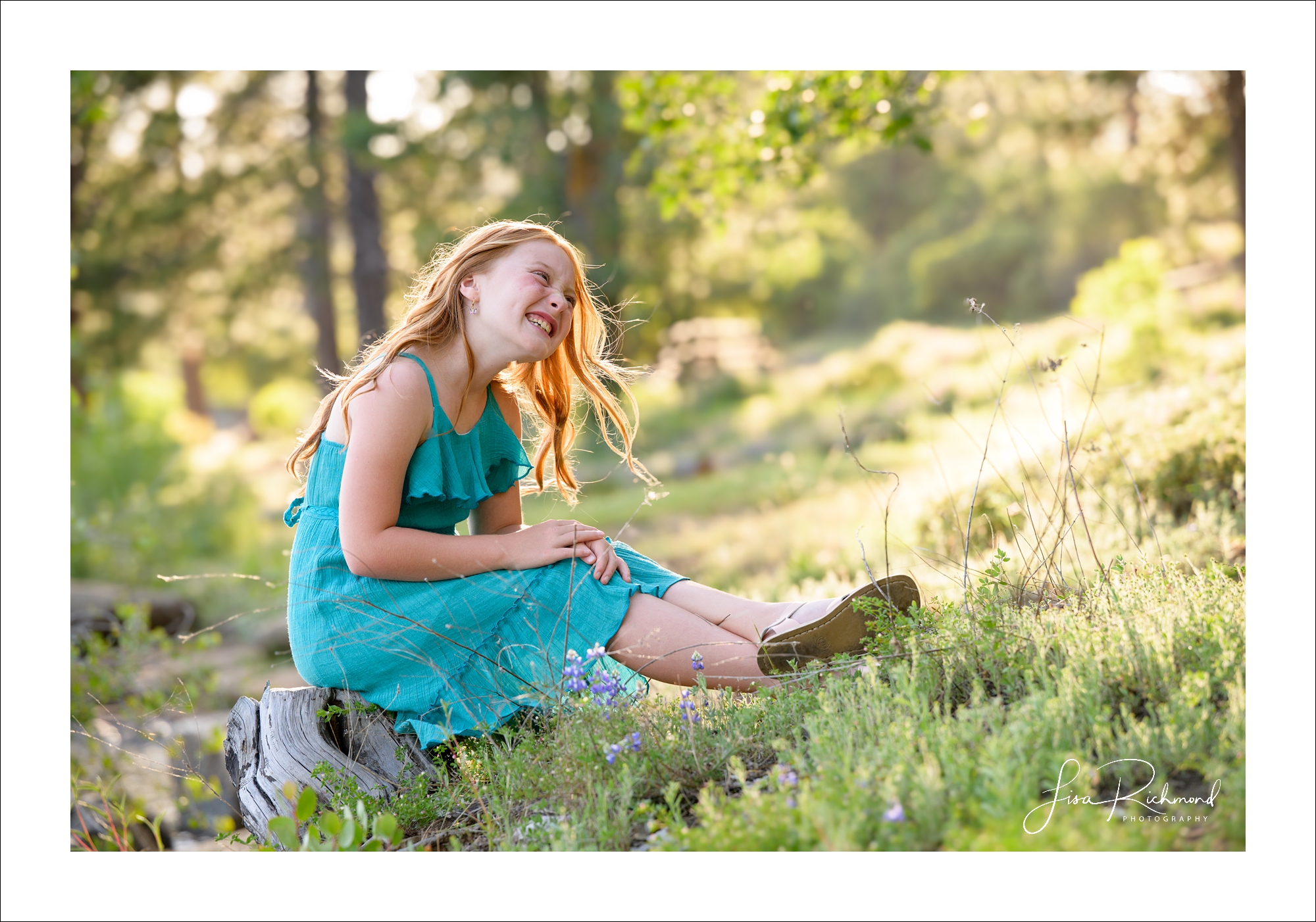 Heather Family